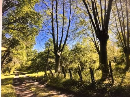 propriété 11 sur hectares