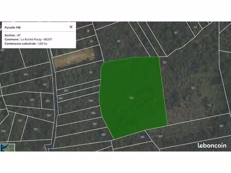 parcelle de taillis / at 149