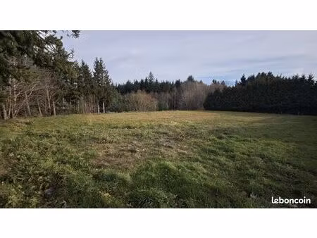 terrain 1442 m² saint-pal-de-mons