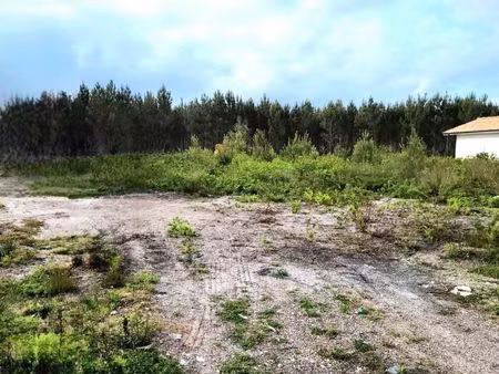 terrain 381 m² saint paul les dax