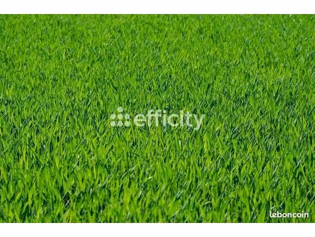 terrain 345 m² mieussy