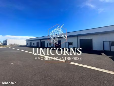 local bureaux 250 m²