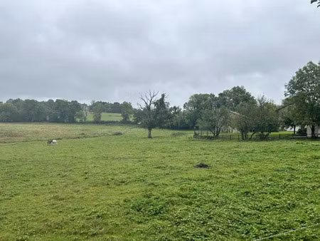 vente terrain 1178 m² à boisseuil (87220)  44 500 €