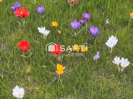 terrain constructible viabilisé à vendre