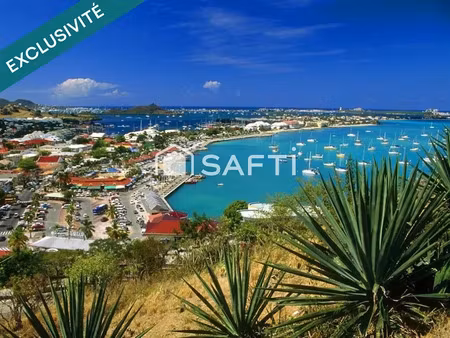 vente locaux professionnels à saint-martin (97150)  100 000 €