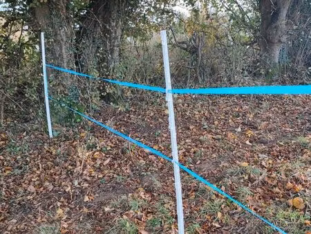 recherche pâture herbage