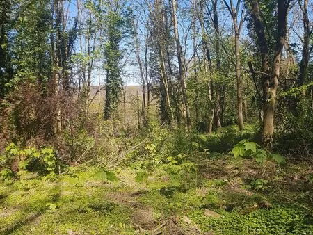 à louer – terrain 4100 m² – agricole & & loisirs