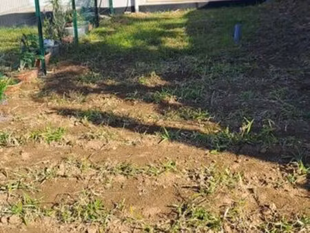 location studio 25m² récent  lumineux