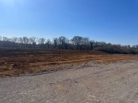 en vente terrain constructible 60 ares – 80 000 € |mont-bonvillers