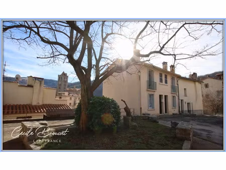 immeuble à vendre prats de mollo la preste 12 pièce(s) 181m2 149 500€