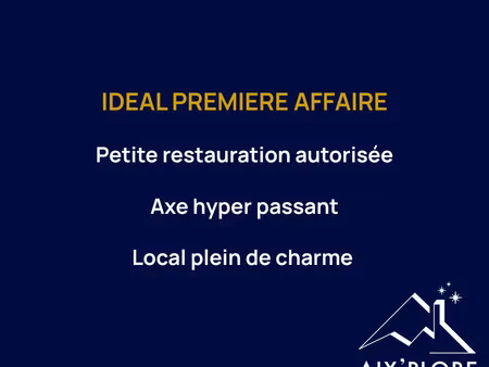 annecy – vieille ville – rue piétonne ultra passante