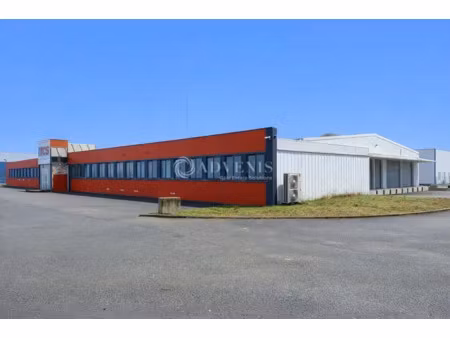 local d'activite a louer