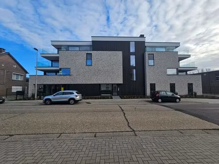 appartement te huur in maasmechelen