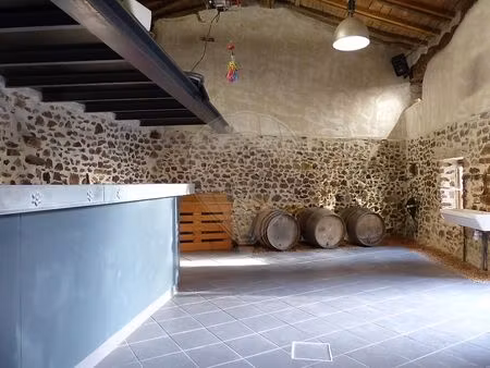 achat maison 5 pièces 110m² villie morgon 69910