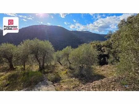 achat terrain 16 190m² st cezaire sur siagne 06530