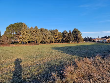 maison plain-pied de 2023