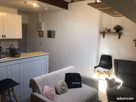 appartement meublé dijon centre – duplex – 30 m²
