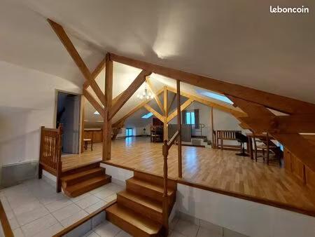 loft 2 pièces 65 m²