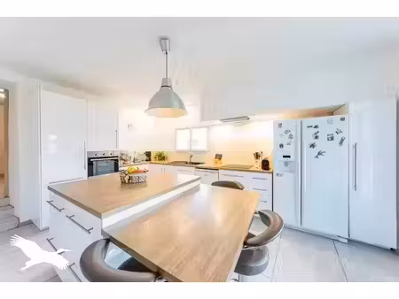 vente maison 7 pièces 240 m² à francon (31420)  337 900 €