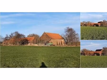 ferme à vendre à rue boucaut 11 grandmetz (vbd81041)