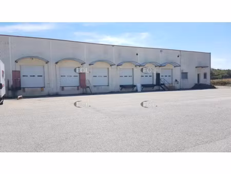 entrepot avec quais à louer