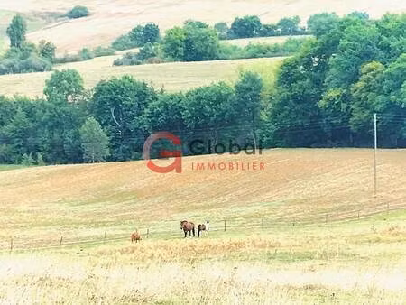 terrain constructible viabilisé à vendre