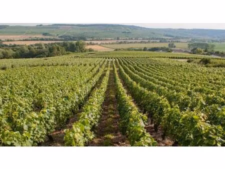 terrain champêtre/forestier à vendre