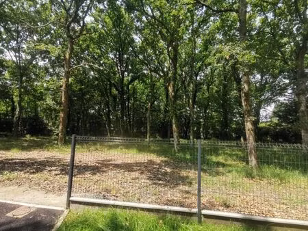 vente terrain 681 m² parentis-en-born (40160)