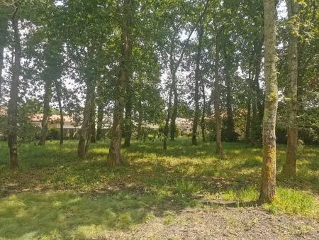 vente terrain 686 m² parentis-en-born (40160)