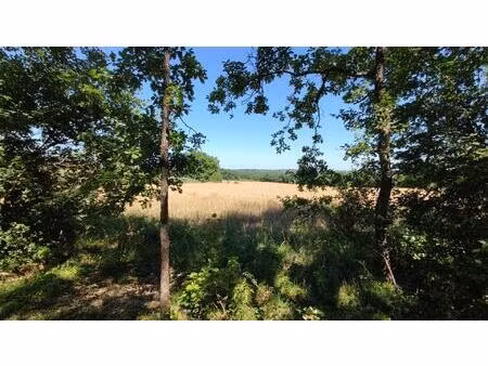 terrain boisé avec vue dégagée sur la campagne environnante  situé à seulement quelques...