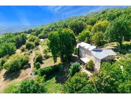ensemble immobilier - 5 gîtes - 6 ha - potentiel activites touristiques - aveyron