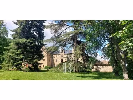 sud aveyron - chateau