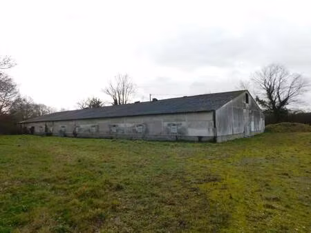 local commercial à vendre