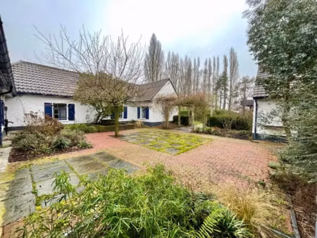 vente ferme 8 pièces 262 m² à mons-en-pévèle (59246)  895 000 €