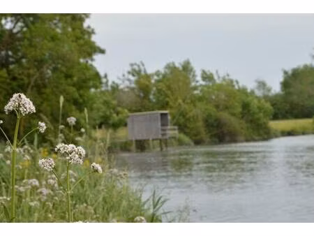 vente terrain 773 m² le mung (17350)