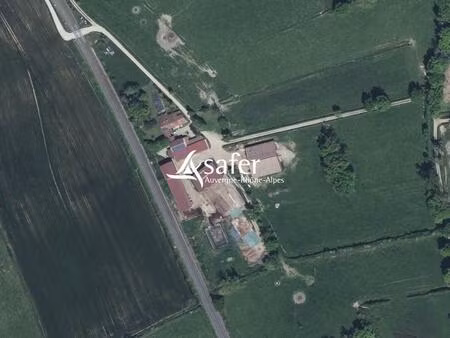 ferme d'élevage - plaine du forez