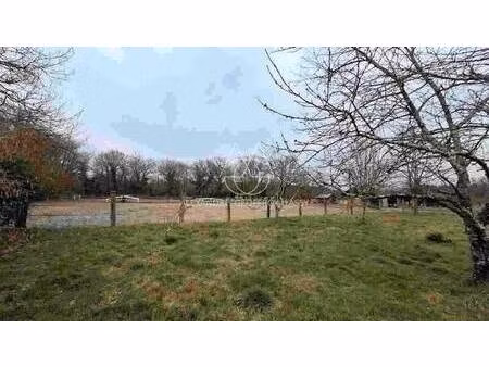 geoffroy d assy alexandre capifrance