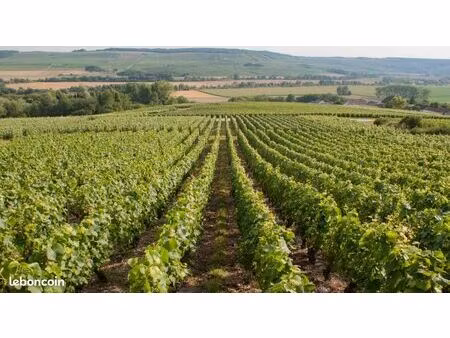 terrain 1681 m² mardeuil