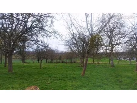 terrain 2317 m² viessoix