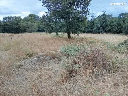 terrain agricole 3140 m2