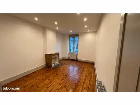bel appartement ancien et rénové en coeur de ville