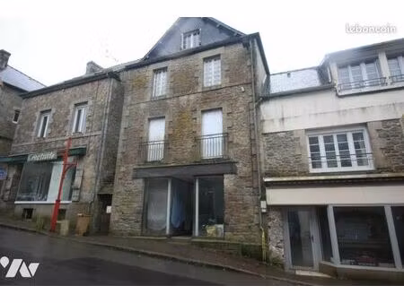 immeuble 230 m² rostrenen