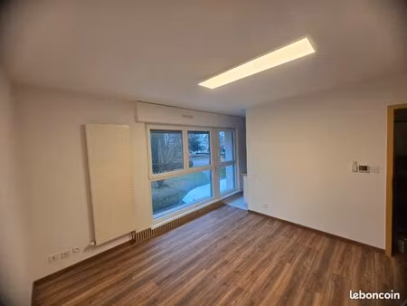 joli studio centre ville