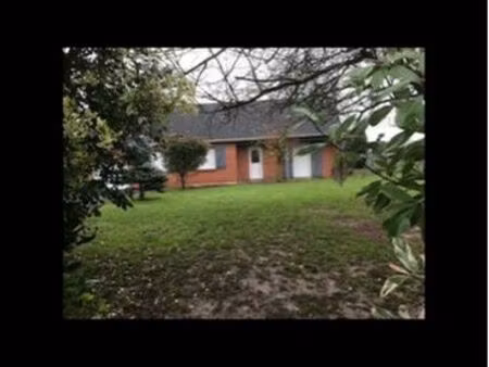 location maison neuville saint vaast