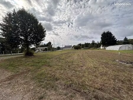 terrain 980 m² brain-sur-allonnes