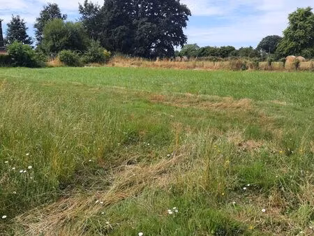 terrain 3332 m² mauges-sur-loire