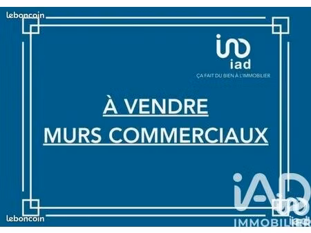 immeuble 313 m² ploufragan