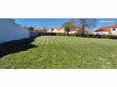 terrain constructible