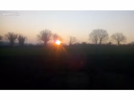 terrain constructible