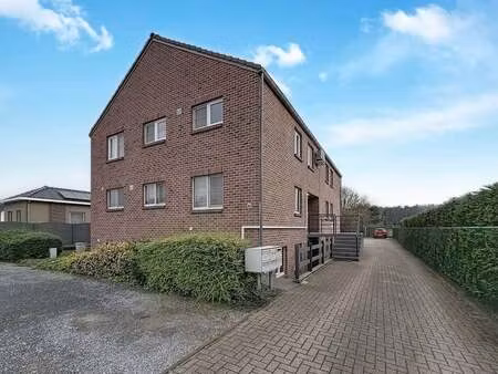 appartement à louer à opglabbeek € 750 (lkeh8) - era impact (bree) | zimmo